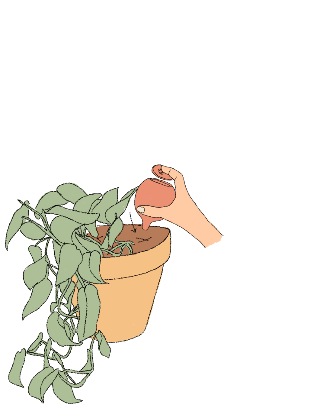 olla-autorriego-plantar-
