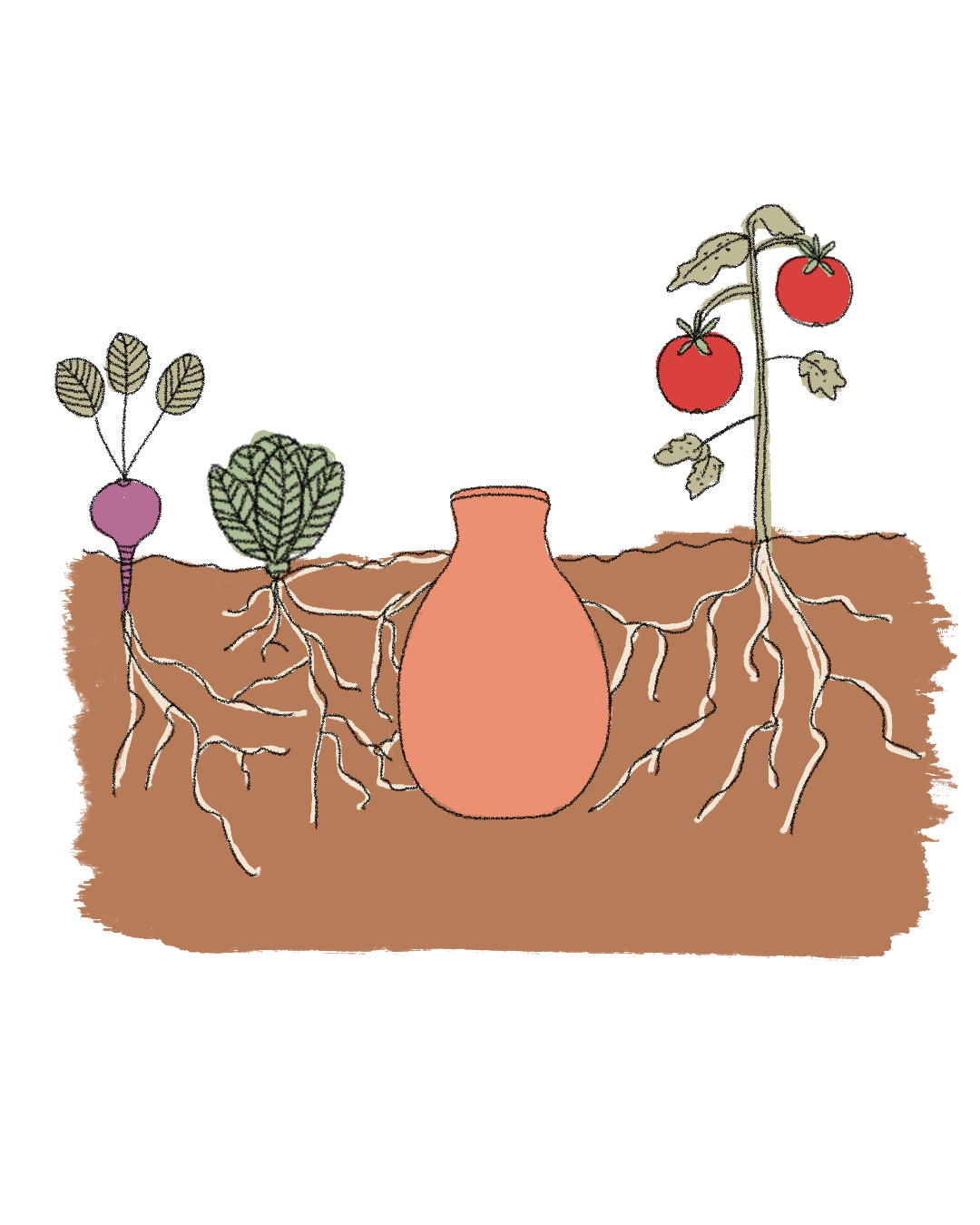 olla-enterrar-huerto olla-enterrar-huerto