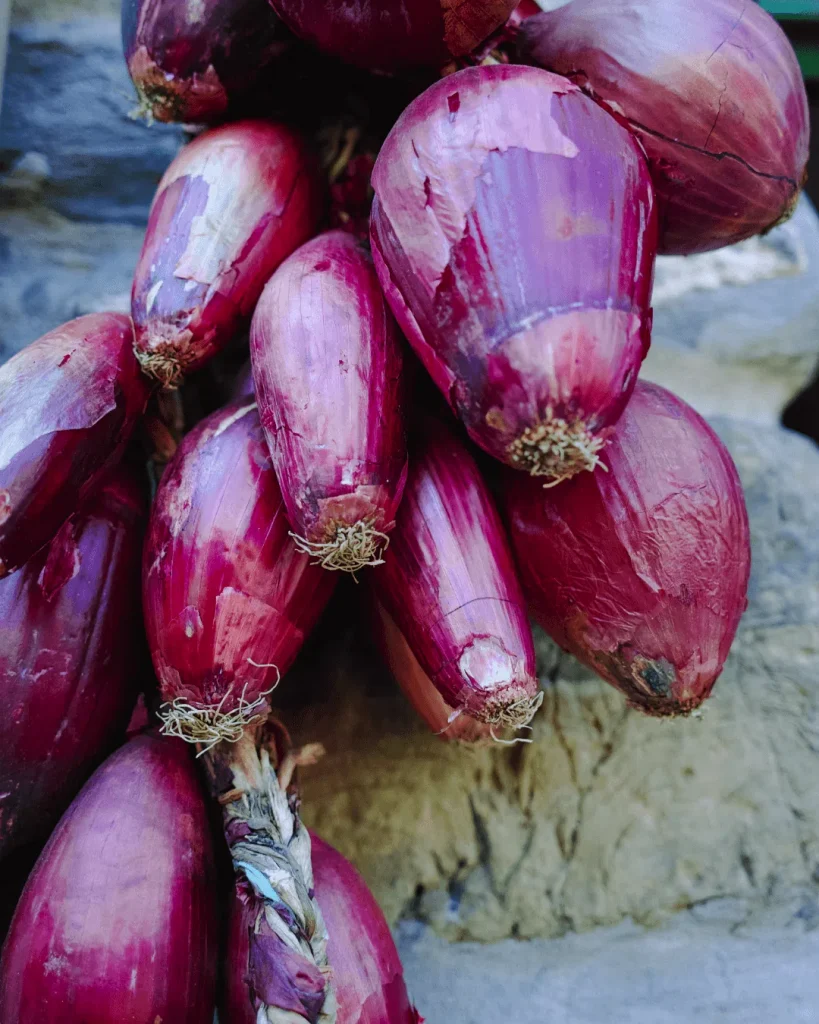 semillas-cebolla-rosa-florencia-verdura