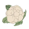 semillas-ecologicas-coliflor
