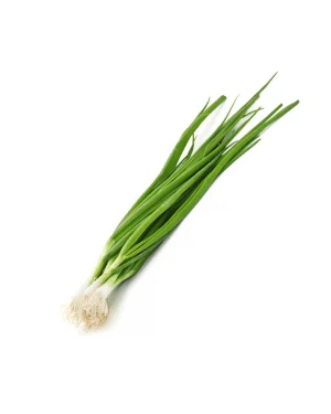 semillas-organicas-cebollino