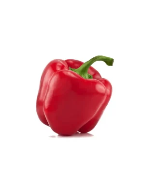 semillas-organicas-pimiento-quadratodastiross