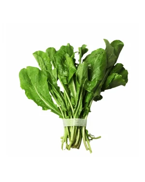 semillas-organicas-rucula