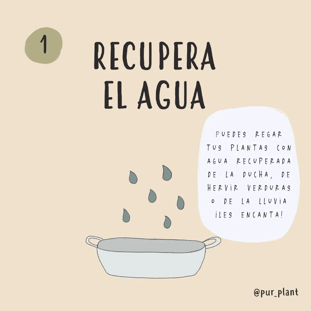 1-recuperaelagua