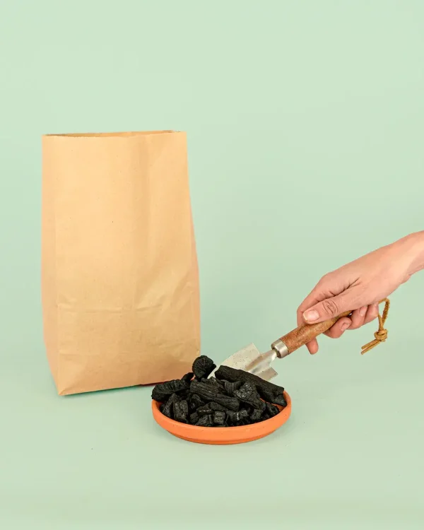 biochar a granel