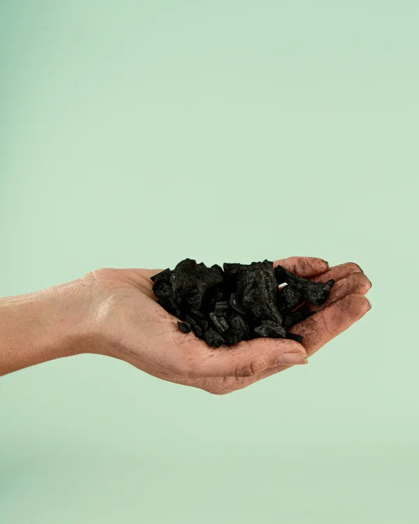 carbon activo plantas