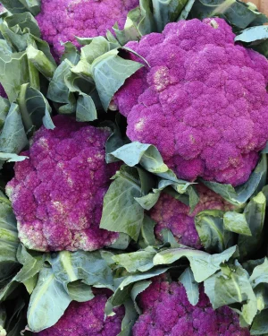 brocoli-morado