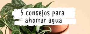 consejos-ahorrar-agua