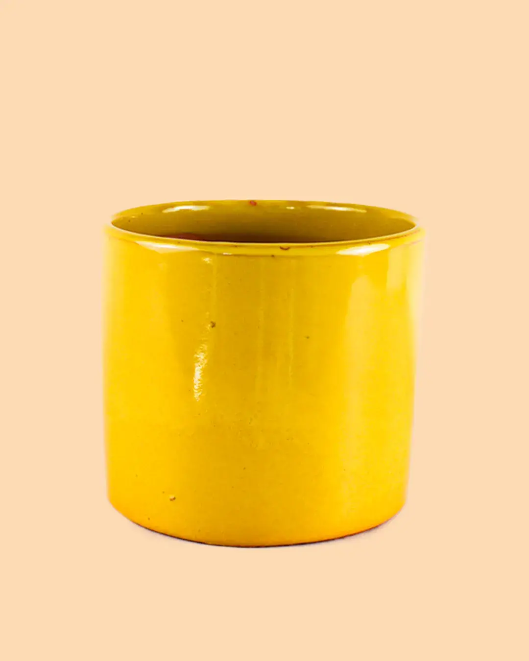 maceta-l-mostaza
