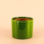 maceta-verde-m
