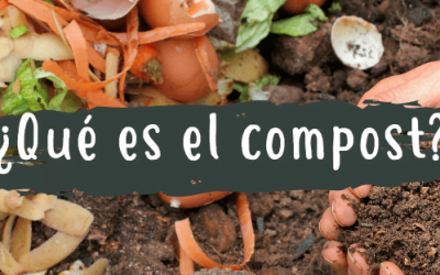 ¿Qué es el compost? 5 (2)