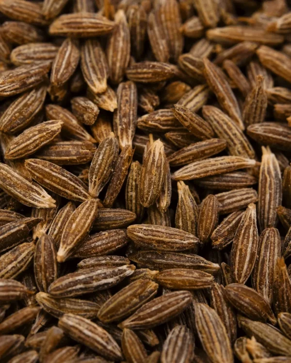 semillasdecomino