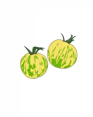 tomate-green-zebra-semillas