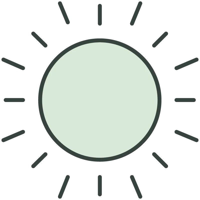 icono-luz-directa-planta