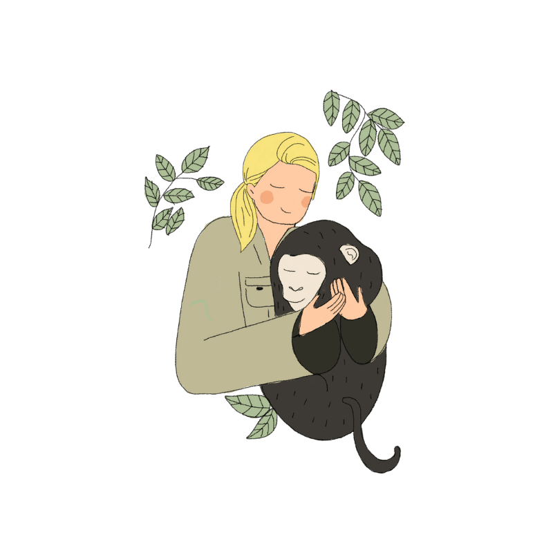 janegoodallilustracion janegoodallilustracion