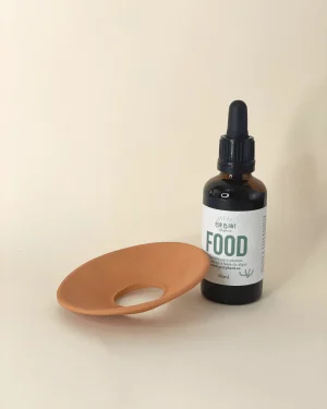 kit para germinar aguacate