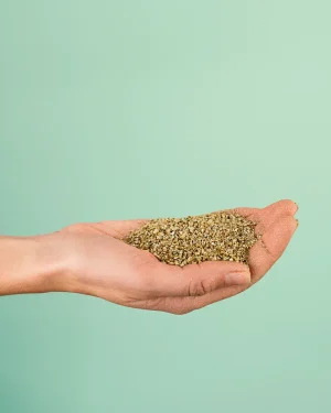 vermiculita
