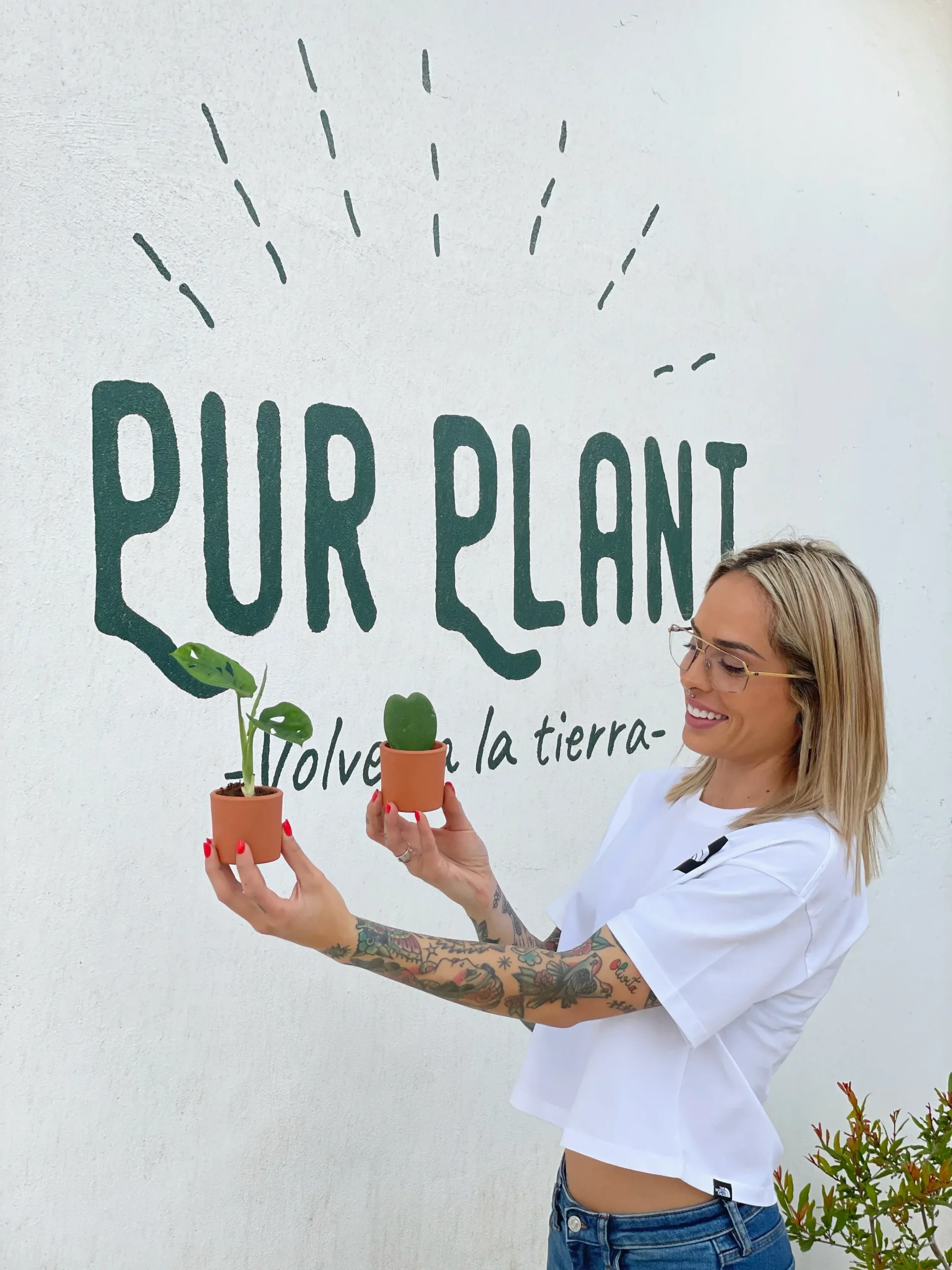 bebesplantaspurplant bebesplantaspurplant