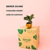calathea makoyana-packaging