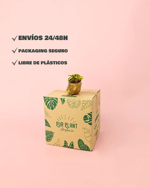 carnivora packaging