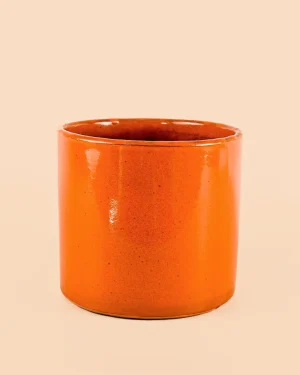 maceta-naranja-l