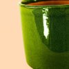 maceta-verde-detalle