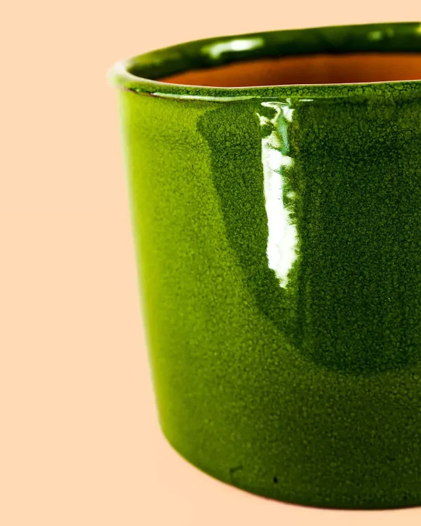 maceta-verde-detalle