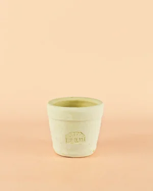 mini-maceta-purplant-blanca