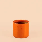 Mini Maceta Naranja