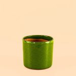 minimaceta-verde