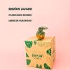 Bebé Alocasia Silver Dragon-packaging