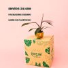 Bebé Philodendron Pink Princess-packaging