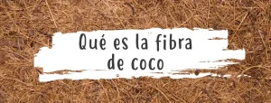 que es fibra de coco