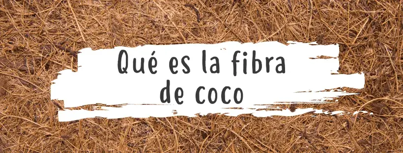 Qué es fibra de coco