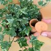 autorriego-l-plantas
