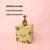 Ficus Microcarpa-packaging