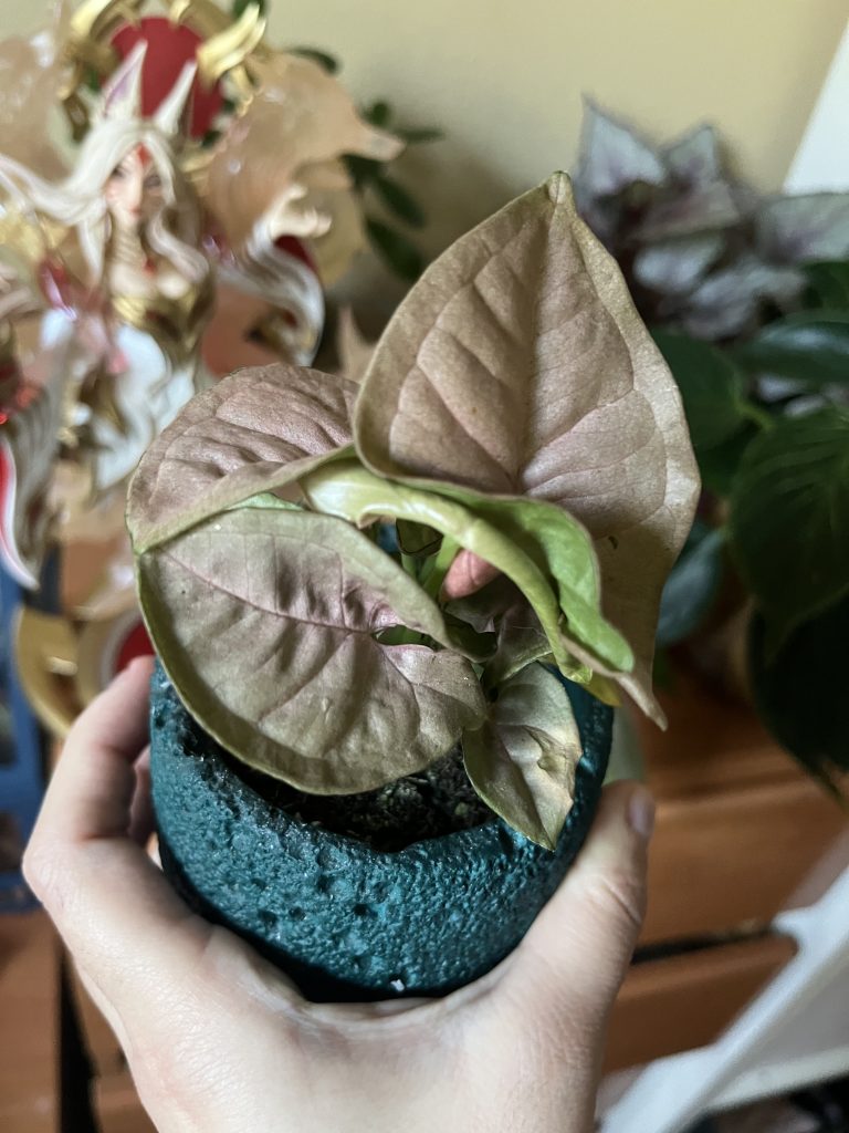 Imagen #1 de Elena Gozalo San jose