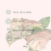 cuidados-syngonium-neon-pink