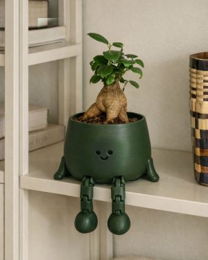 mini ficus microcarpa contexto happy pot
