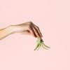 tillandsia-capitata-planta
