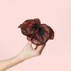 Begonia-blade-mini