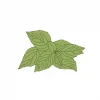semillas de albahaca limon