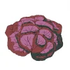 lechuga-roble