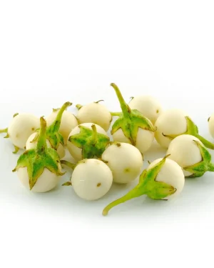 semillas-berenjena-huevo-blanco
