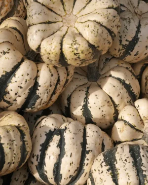 semillas-calabaza-sweet-dumpling