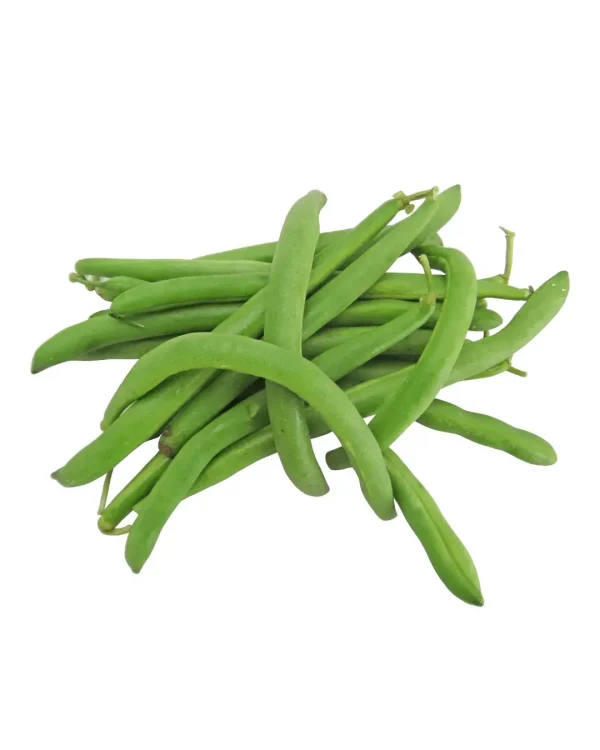 semillas-judias-verdes
