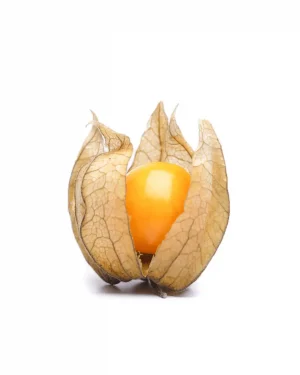 semillas-physalis