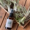 spray-tillandsias