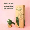 Scindapsus-pictus-M-packaging