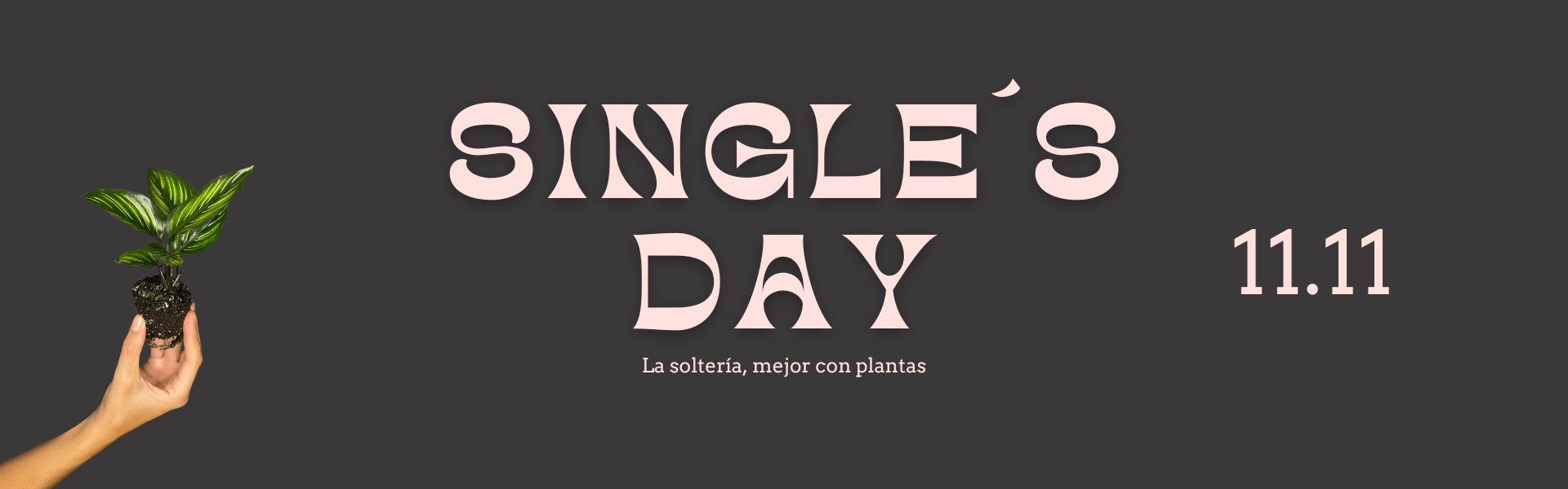 singleday singleday